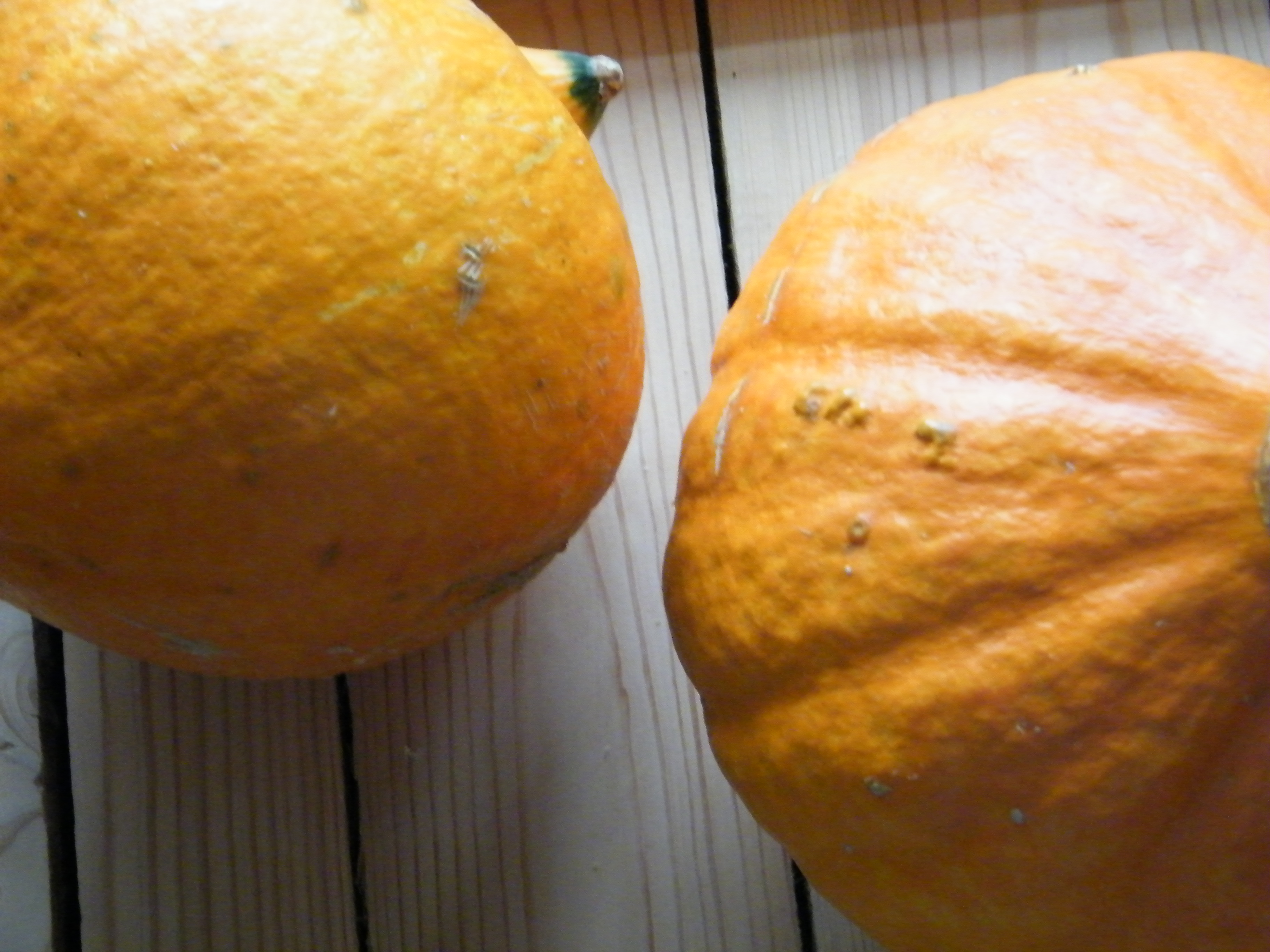 dscf0469